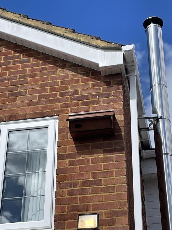 Bird box install